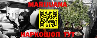 трава Кандалакша