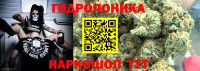 трава Камышлов
