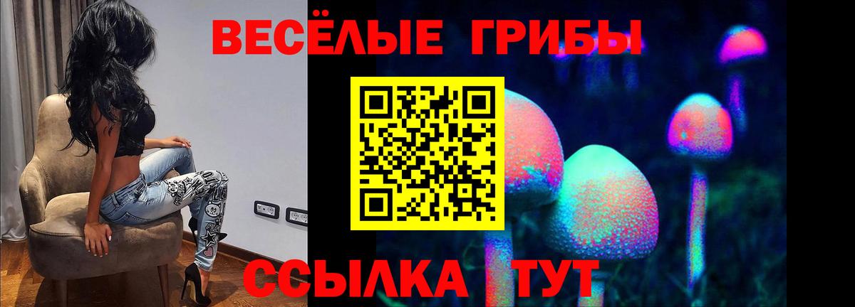 Псилоцибиновые грибы GOLDEN TEACHER  Вход с VPN  Карпинск 